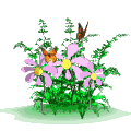 flower (213).g